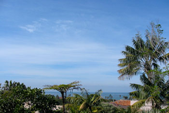 window view